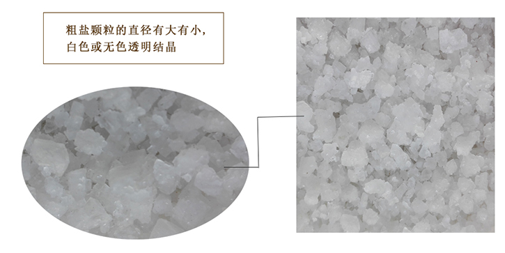 粗(cu)鹽詳(xiang)情